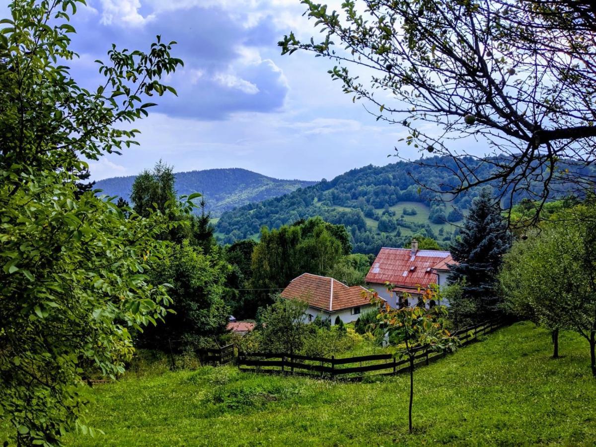 The Magical Paths Leilighet Kremnica Eksteriør bilde